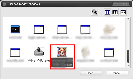 Selecting game.exe in WPE Pro.